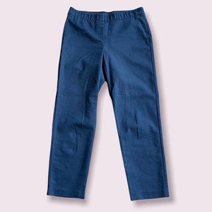 J Jill Pull on stretch women’s pants size 8 petite.